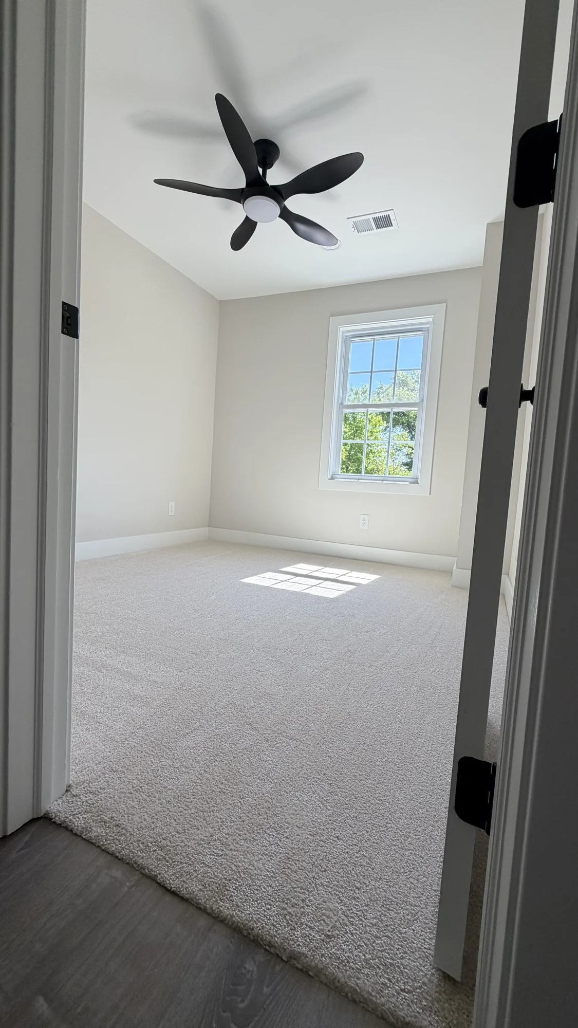 Completed bedroom with fresh paint, carpet and ceiling fan