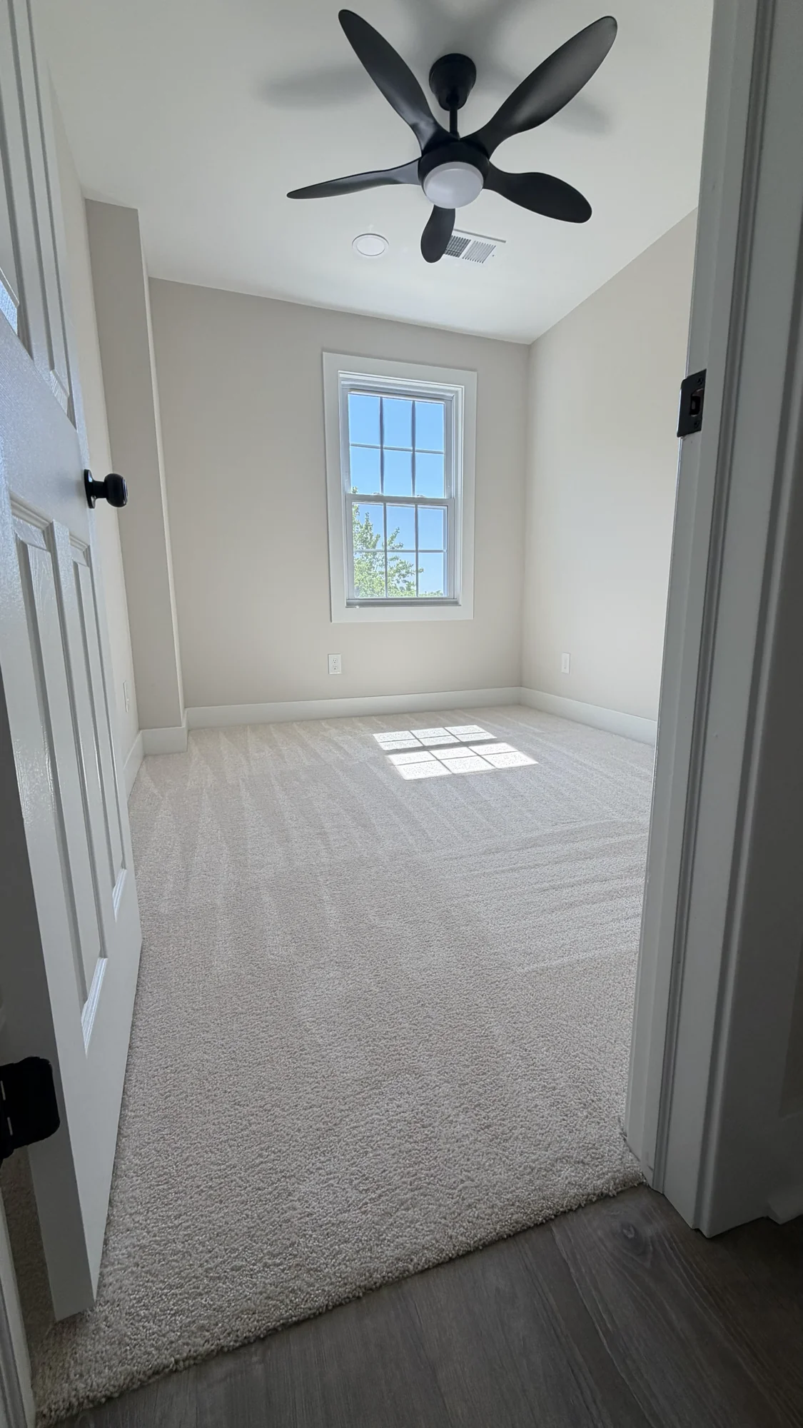 Newly finished room with carpet and modern ceiling fan